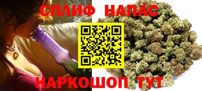 спиды Гагарин
