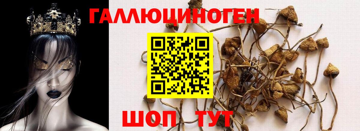Волжск  Галлюциногенные грибы мицелий  где найти наркотики  Вход с VPN 